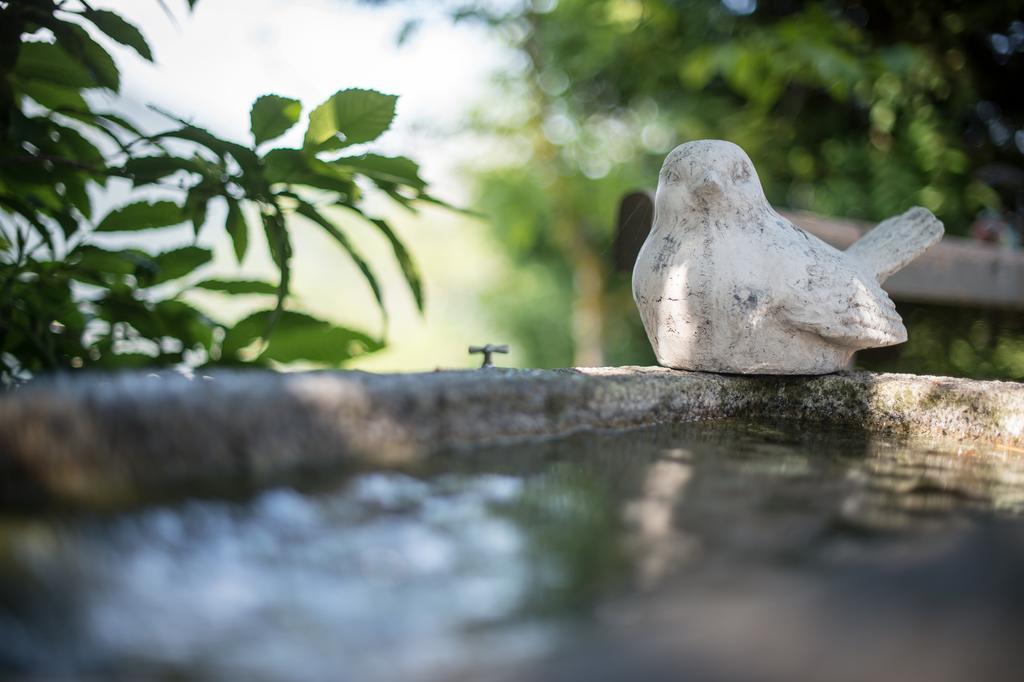 Ferienwohnungen Sumperer Pill Bagian luar foto